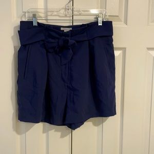 Dressy Navy Shorts